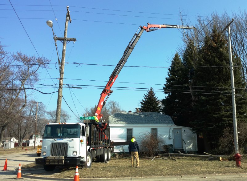 Tree service in Muskegon, MI